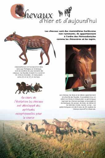Panneau de l'exposition Chevaux
