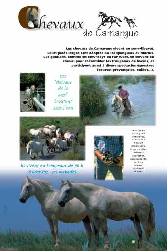 Panneau de l'exposition Chevaux