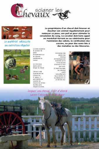 Panneau de l'exposition Chevaux