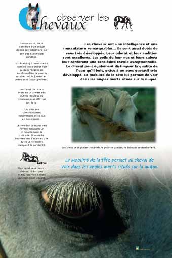 Panneau de l'exposition Chevaux