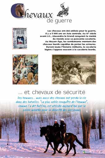 Panneau de l'exposition Chevaux