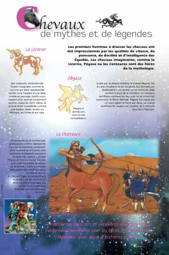 Panneau de l'exposition Chevaux