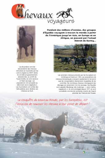 Panneau de l'exposition Chevaux