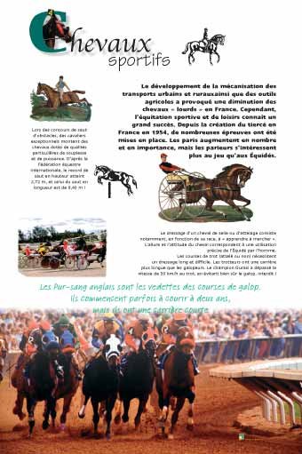 Panneau de l'exposition Chevaux