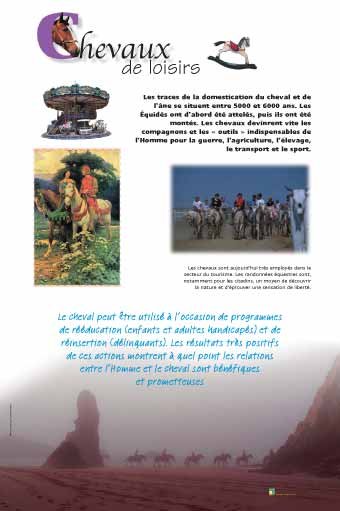 Panneau de l'exposition Chevaux