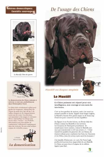 Panneau de l'exposition Chiens sauvages et domestiques