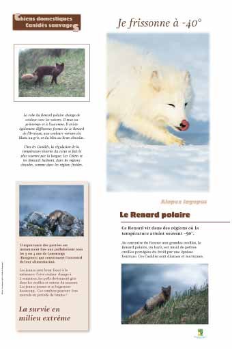 Panneau de l'exposition Chiens sauvages et domestiques