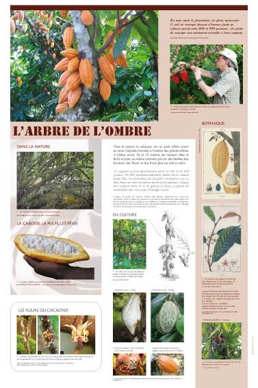 Panneau de l'exposition Chocolat