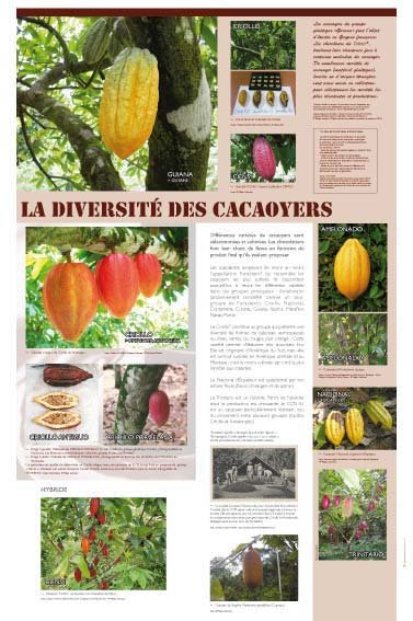 Panneau de l'exposition Chocolat