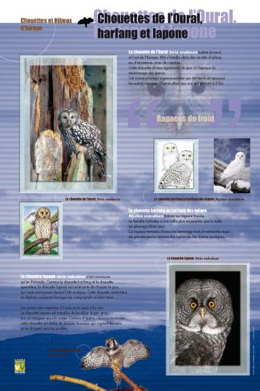 Panneau de l'exposition Chouettes Hiboux