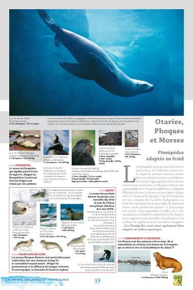 Panneau de l'exposition Dauphins Baleines Marsouins