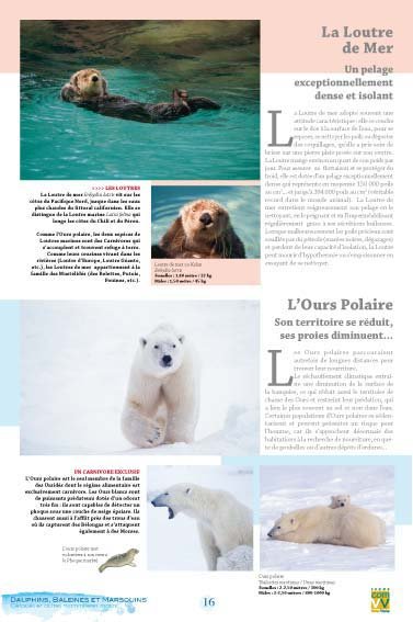 Panneau de l'exposition Dauphins Baleines Marsouins