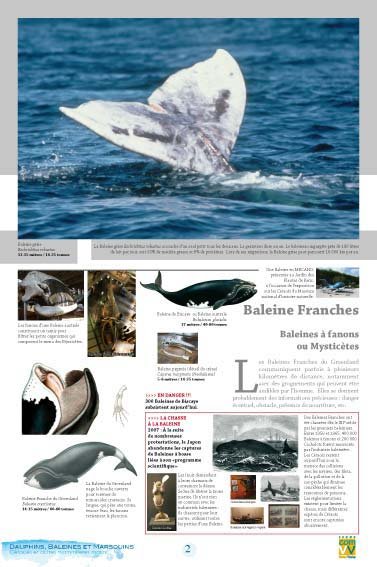 Panneau de l'exposition Dauphins Baleines Marsouins