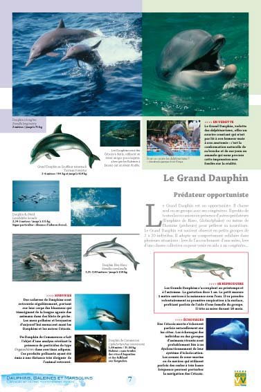 Panneau de l'exposition Dauphins Baleines Marsouins