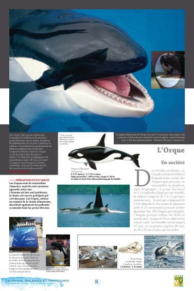 Panneau de l'exposition Dauphins Baleines Marsouins