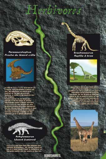 Panneau de l'exposition Dinosaures