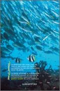 Panneau de l'exposition L'eau, une ressource a partager (10p)