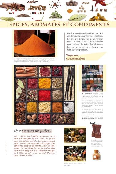 Panneau de l'exposition Epices et aromates