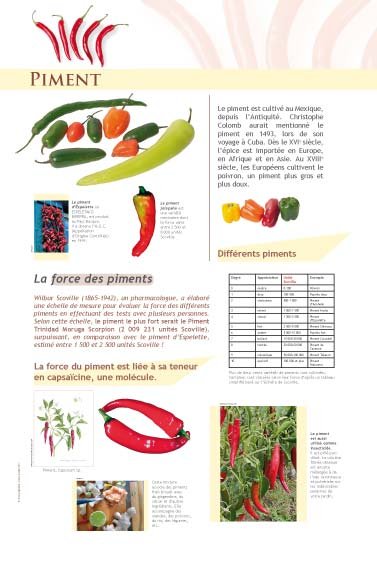 Panneau de l'exposition Epices et aromates