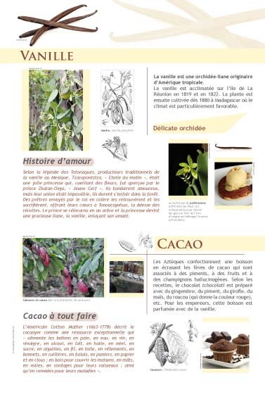 Panneau de l'exposition Epices et aromates