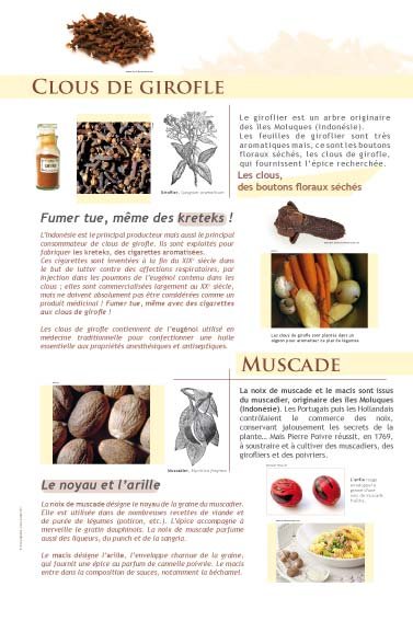 Panneau de l'exposition Epices et aromates