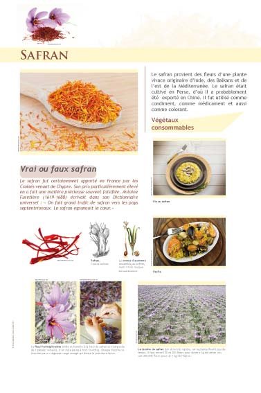 Panneau de l'exposition Epices et aromates