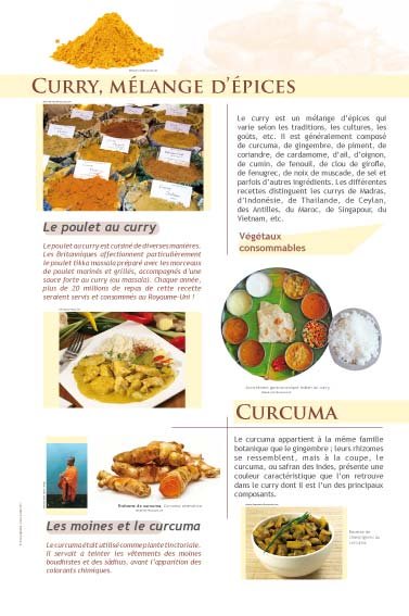 Panneau de l'exposition Epices et aromates