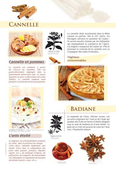 Panneau de l'exposition Epices et aromates