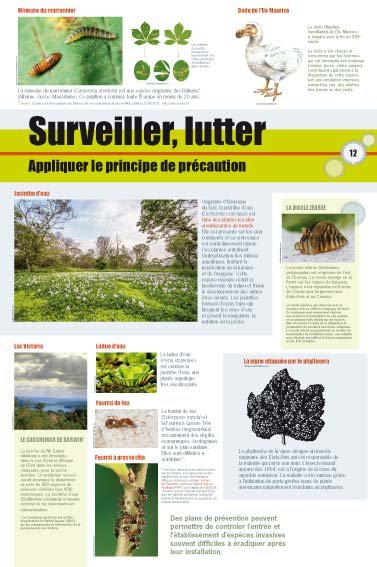 Panneau de l'exposition Especes invasives