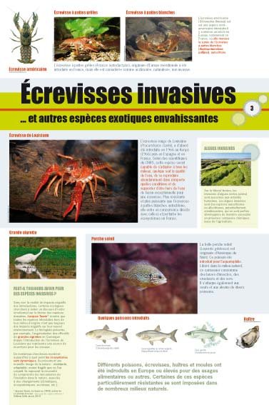 Panneau de l'exposition Especes invasives