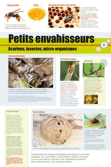 Panneau de l'exposition Especes invasives