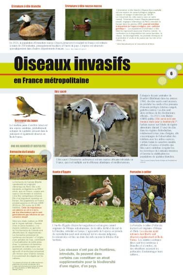 Panneau de l'exposition Especes invasives