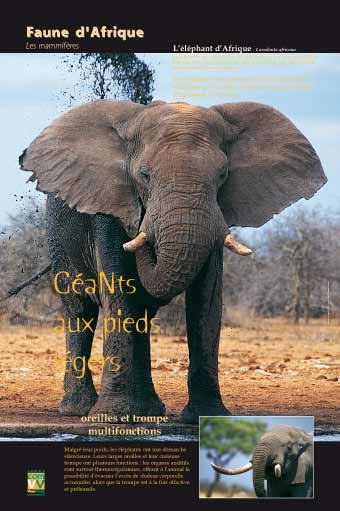 Panneau de l'exposition Faune d'Afrique