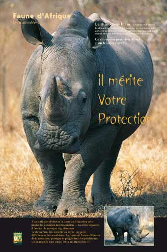 Panneau de l'exposition Faune d'Afrique