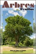 Arbres feuillus
