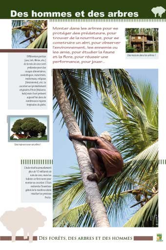 Panneau de l'exposition Des forets, des arbres, des hommes
