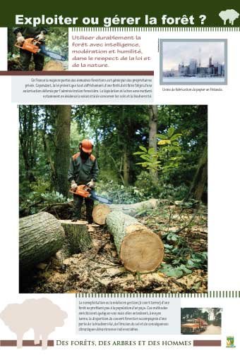 Panneau de l'exposition Des forets, des arbres, des hommes