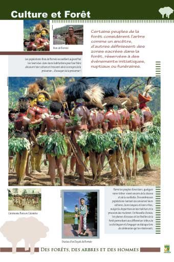 Panneau de l'exposition Des forets, des arbres, des hommes
