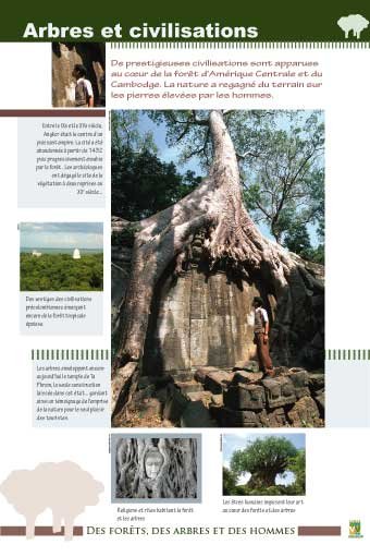 Panneau de l'exposition Des forets, des arbres, des hommes