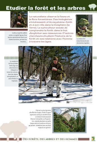 Panneau de l'exposition Des forets, des arbres, des hommes