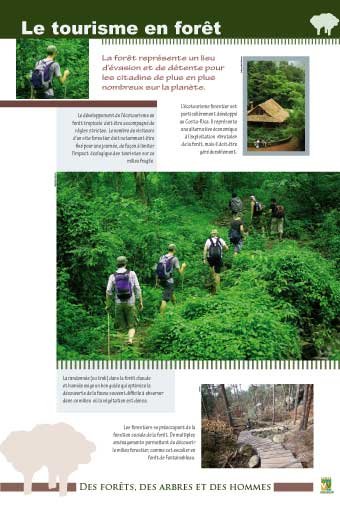 Panneau de l'exposition Des forets, des arbres, des hommes