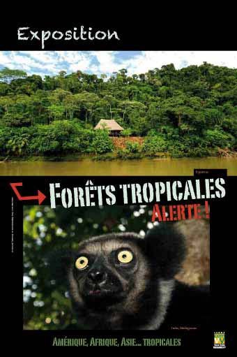Panneau de l'exposition Forets tropicales