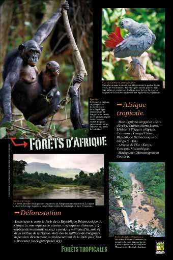 Panneau de l'exposition Forets tropicales