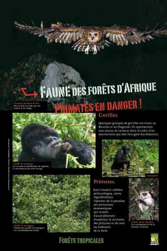 Panneau de l'exposition Forets tropicales