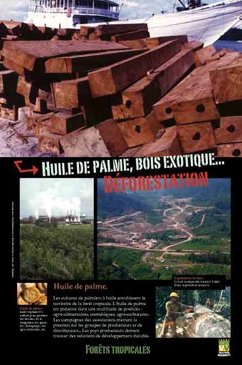 Panneau de l'exposition Forets tropicales