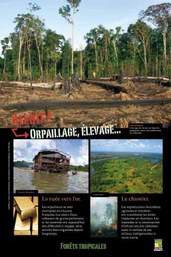 Panneau de l'exposition Forets tropicales