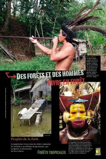 Panneau de l'exposition Forets tropicales