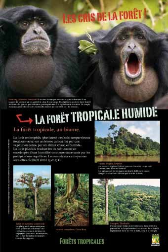 Panneau de l'exposition Forets tropicales