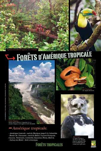 Panneau de l'exposition Forets tropicales