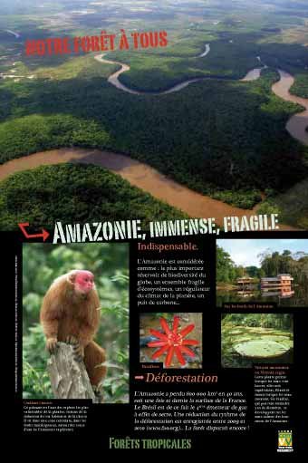 Panneau de l'exposition Forets tropicales